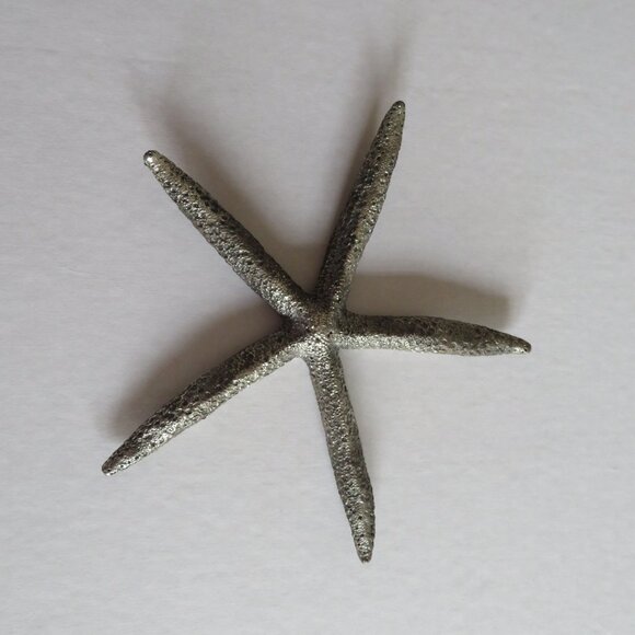 Silver Metal Starfish, EUC - Picture 2 of 4